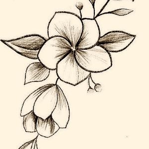 Meet your Posher, Bella